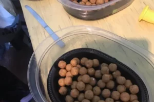 2b435a83-2ee7-4000-a203-88d9d9bb51a4