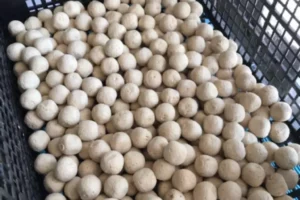 3e98ab1a-1fb9-4f07-af9c-da5c4deb9178