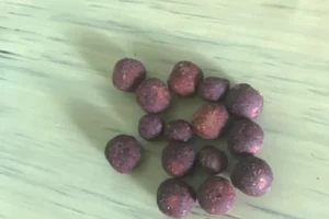 6b9112d9-d524-4b3e-84f5-9a7d0522591c