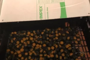 d37af049-b8c8-4404-ac2a-e440c95fd66d